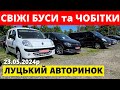 ЦІНИ НА БУСИ та ЧОБІТКИ /// ЛУЦЬКИЙ АВТОРИНОК /// 23.05.2024р. #буси #автопідбір #автобазар