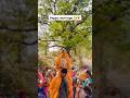आदिवासी संस्कृति दुल्हन डांस 😍🔥#shorts #trendingshort #culture #viral