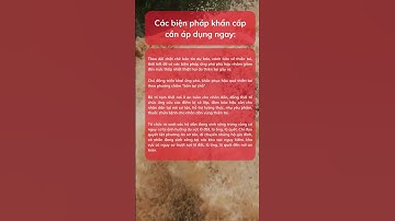 Công bố tình huống khẩn cấp về thiên tai để ứng phó mưa lớn, lũ quét, sạt lở đất và ngập úng