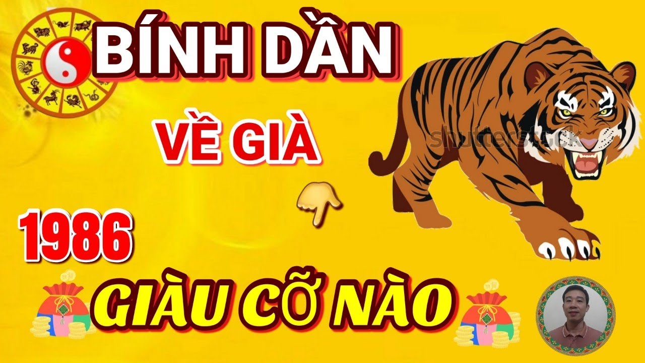 Sốc ! Bí Mật Chấn Động về Tử Vi Trọn Đời Tuổi Bính Dần 1986- Có Phúc Lớn, Về Già Giàu Cỡ Nào ???