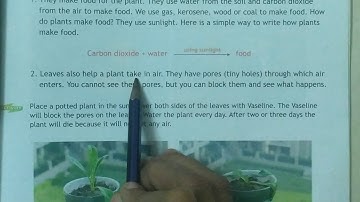 Class 3/ICSE/Science/Revision Lesson 7 Parts of a plant Session 25