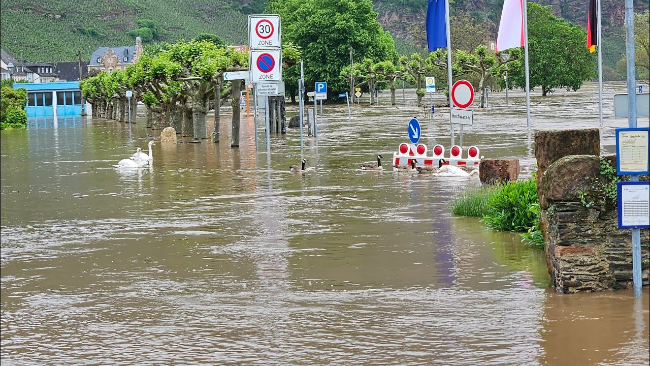 Moselhochwasser in Kröv am 18.05.2024