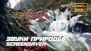 Живая природа - Река | Звуки природы | Звуки реки | Шум воды | Релаксация | Белый шум | Заставка ТВ