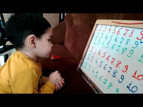 Zizu counting 6 languages || ზიზუ ითვლის 6 ენაზე