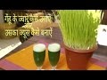 How to grow and make wheatgrass juice at home/गेंहू के ज्वारे कैसे उगाऐं और उसका ज्यूस कैसे बनाऐं