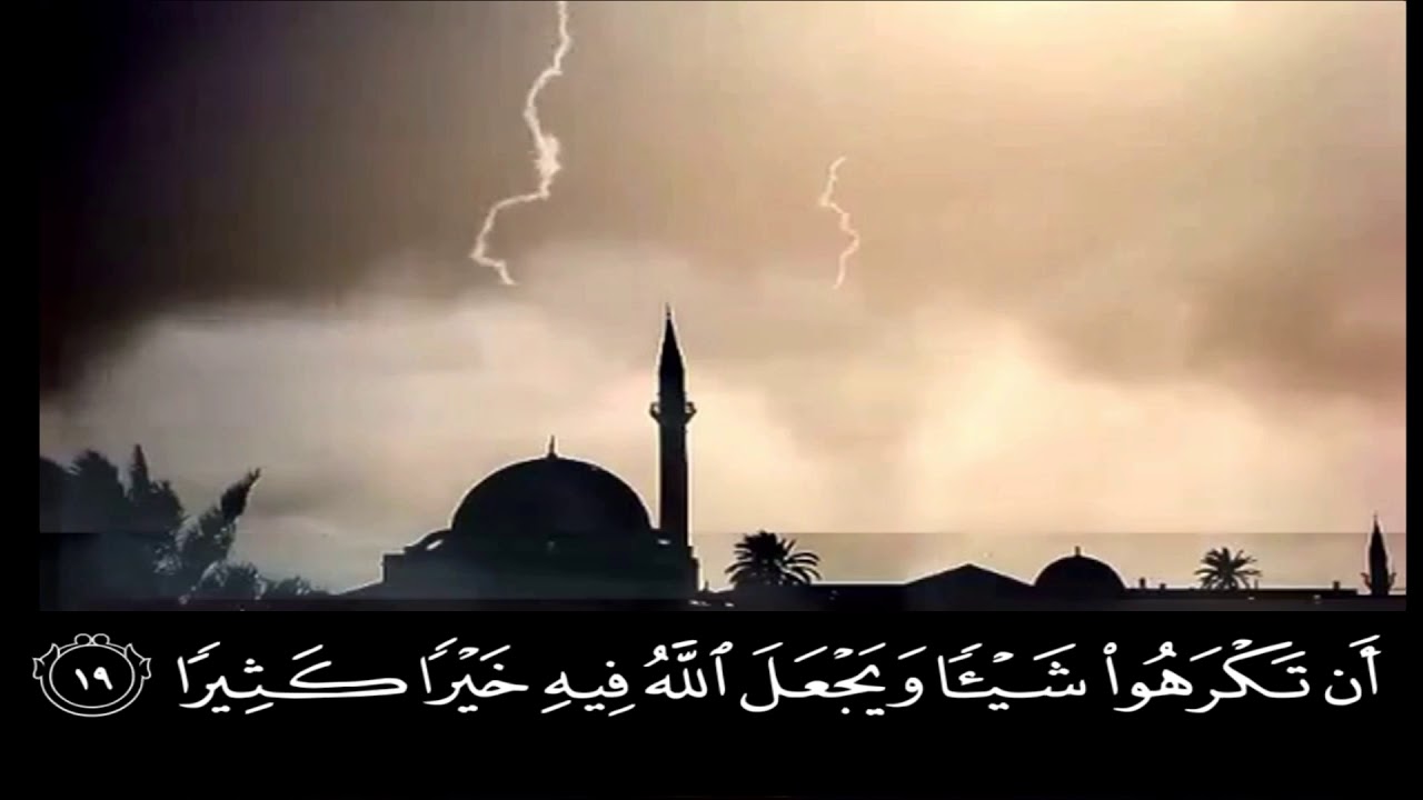 تلاوة من صلاة الفجر | بدر التركي