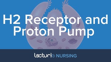 H2 Receptor Antagonists and Proton Pump Inhibitors | Pharmacology