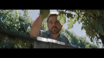 Coravin Wine by the Glass Systems for Wineries