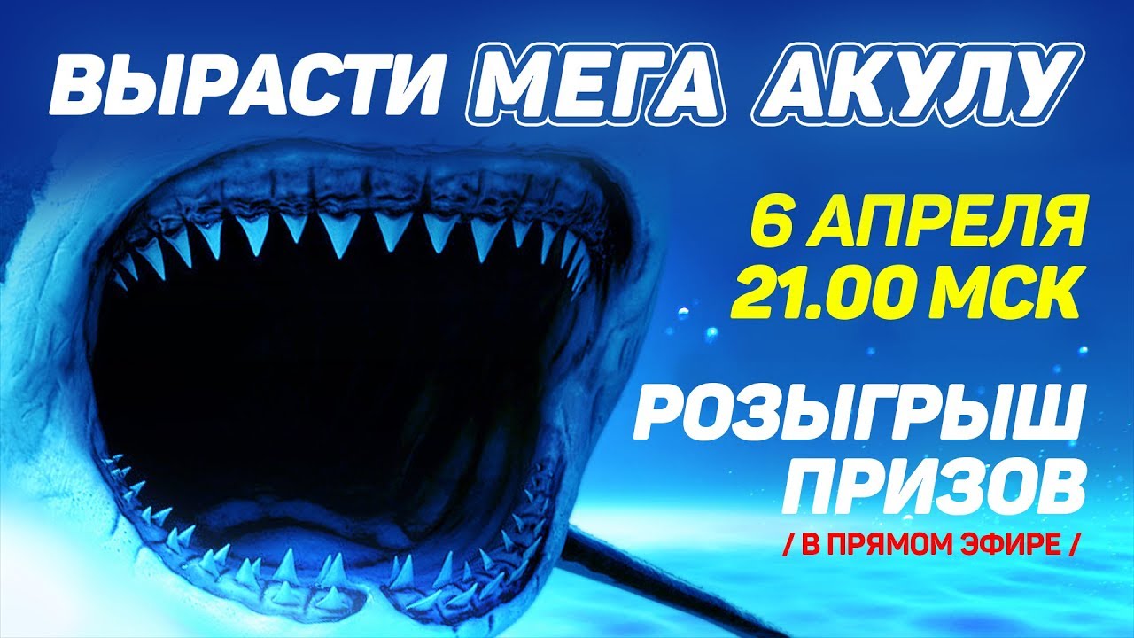 Лотерея "Вырасти МЕГА АКУЛУ"" - призы на 350 000 рублей. - YouTube