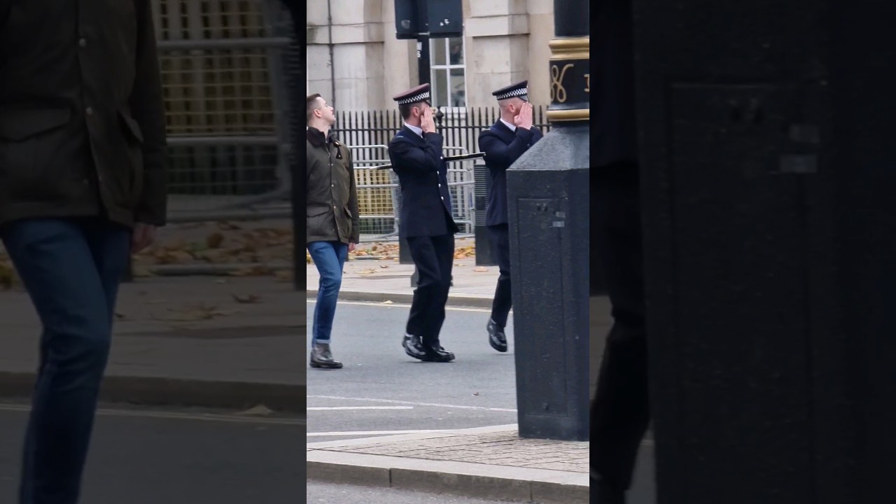 Who is the third guy? A Majestic Salute to the King's Guard at Horse Guards in London, England ❤️🇬🇧