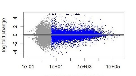 "RNA-seq Gene Expression Analysis in R | Step-by-Step Tutorial for Researchers (20th Batch)"