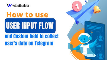How to use User Input Flow and Custom field to collect user