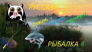 СТРИМ РУССКАЯ РЫБАЛКА 4 RUSSIAN FISHING 4 ОЗЕРО МЕДВЕЖЬЕ ФИДЕРЫ КАРАСЬ