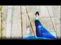 Pani Mono - Nie umiem śpiewać | polski rap underground