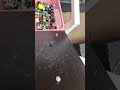 ASMR Rolling Marble sounds #shorts #asmr #video