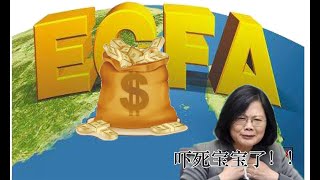 中国大陆：反台独不反台湾，ECFA继续实施，普惠台湾