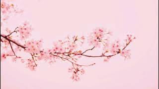 Secret Crates - Springtime Stroll