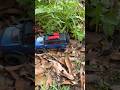 SCX 24 Back Yard Trail #rc #rccrawler #offroad #scx24 #microcrawler #toys #rcoffroad #rcrockcrawler