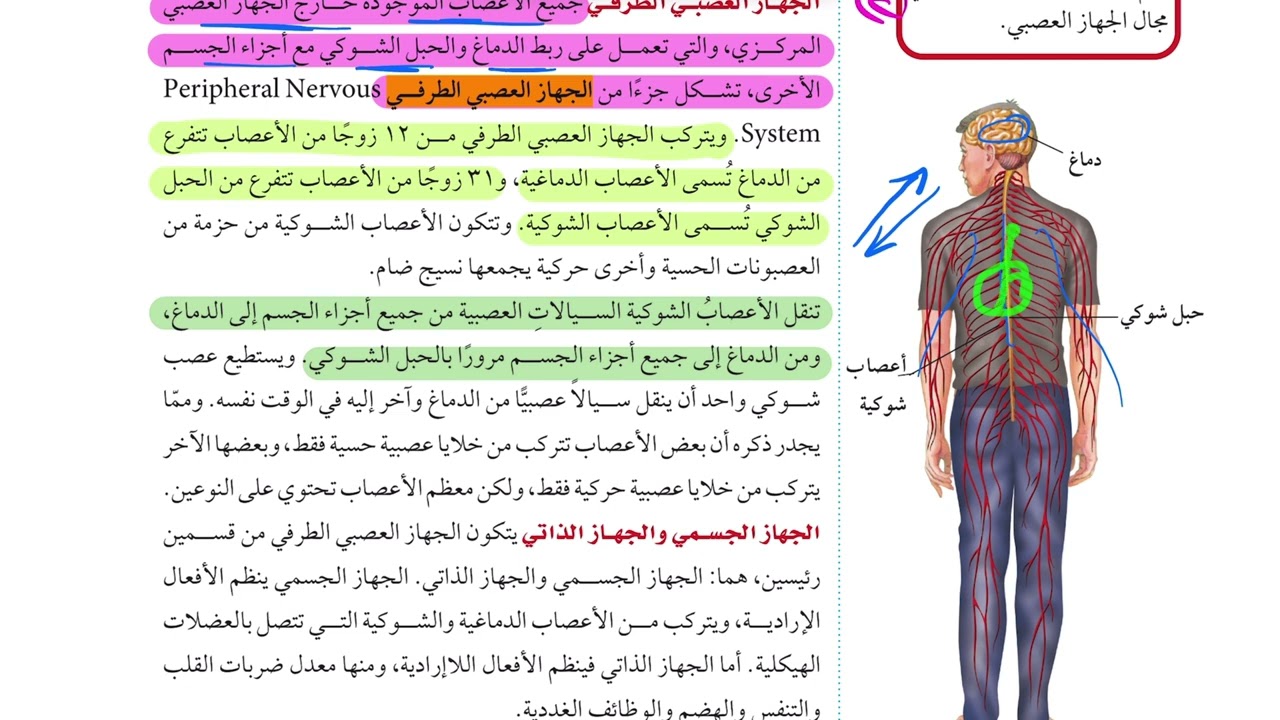 الجهاز الهيكلي والجهاز العصبي (٢) علوم ثاني متوسط 1445