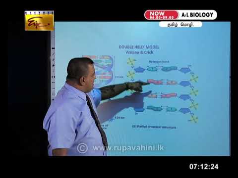 Gurugedara | A/L Biology - Part 2  | Tami Medium | 04-06-2020 | Educational Programme