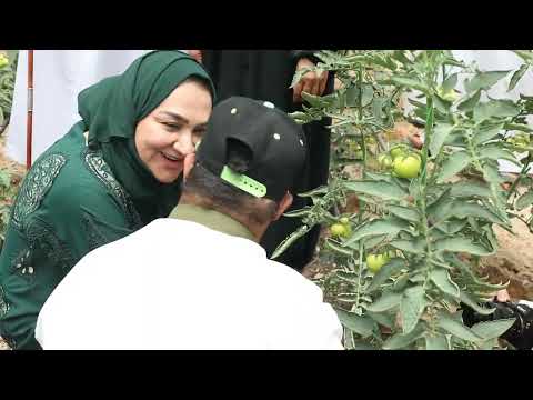 افتتاح مشروع البيوت المحمية الخضراء في مركز الوفاء لتأهيل الأشخاص ذوي الإعاقة بإبراء