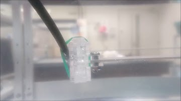 Flow Iinduced Vibration with Shape Shifting Body (変形FIV水力発電装置)