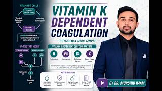 Vitamin K-dependent coagulation. Part 1