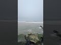 #funny #shortsviral
