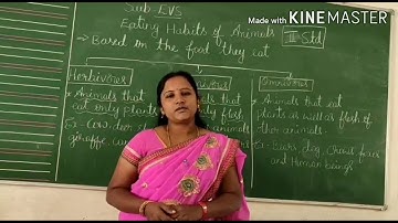 3 Evs (Eating  habits of animals )