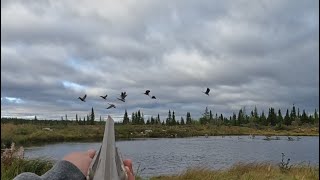 Fall goose hunt 2022. In James Bay