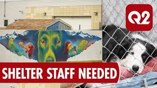 City of Billings Looks for Temporary Animal Shelter Staff During Contract Negotiations