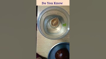 Coconut and water amazing science experiment#knowledgetime #shorts