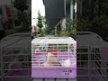 ⑩シナモン文鳥のモコちゃんの治療、日光浴