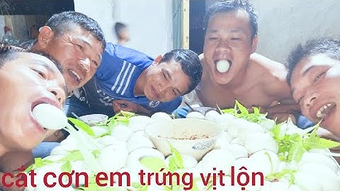 Cắt cơn 200 Quả trứng vịt lộn - nhịp sống tây bắc TV