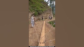 পাকিস্তানের মানুষ যেভাবে কাঠ সংগ্রহ করে | Pakistan