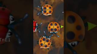 Party Juja With Friends Little Big Snake