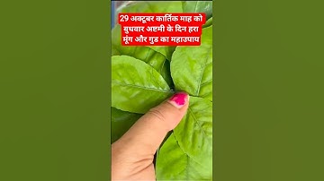 29 अक्टूबर कार्तिक माह बुधवार अष्टमी को हरा मूंग और गुड का महाउपाय#shiv #upay #viral#video#shorts#yt