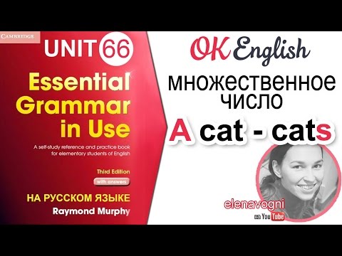 Unit 66 Множественное число в английском (Plural) | OK English Elementary