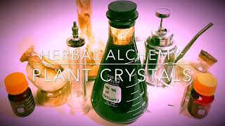 Herbal Alchemy: Plant Crystals