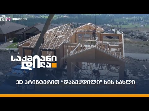 3D პრინტერით “დაბეჭდილი” ხის სახლი