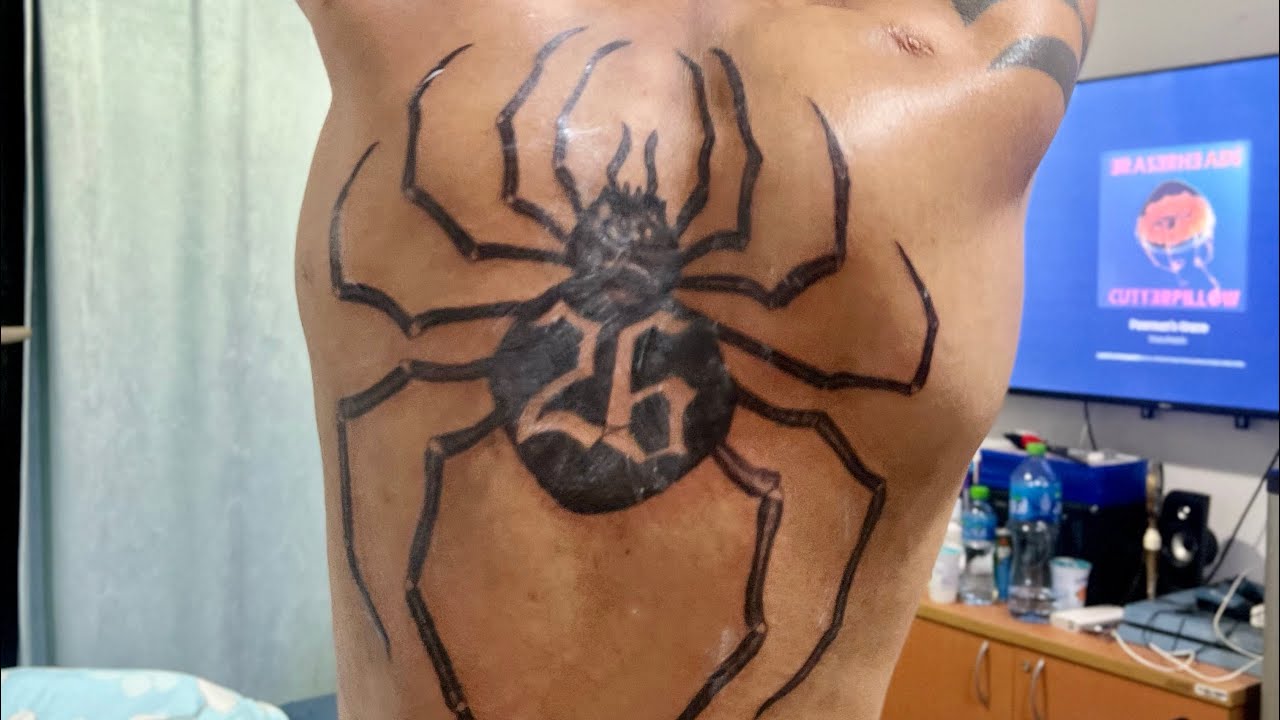 Scary Venomous Cute  The Spider Tattoo Guide You Were Waiting For   Tattoo Stylist