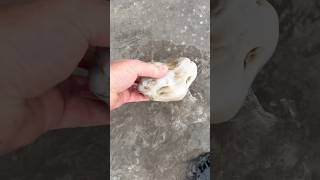 What do you think?  Quartz, Calcedony, Stromatolite, Other? #stone #rocks #minerals #agate #crystals