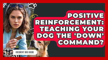 Positive Reinforcement: Teaching Your Dog The 