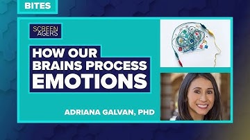 Screenagers Bites - How Our Brains Process Emotions | Adriana Galvan PhD