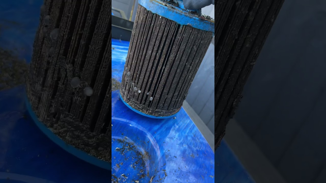 ⁣A very dirty hottub clean! 🧽 #satisfying #hottub
