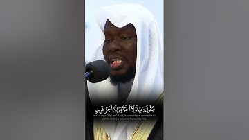 سورة المنافقون | عيسى عمر سناكو | Surat Al-Munafiqun | Issa Omar Snako