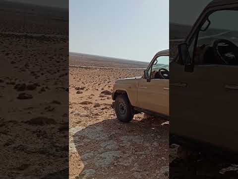 رمضان ونيس فكرت انجرب ننساهم