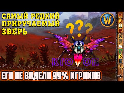 Видео: САМЫЙ РЕДКИЙ ЗВЕРЬ - Его не видели 99% игроков! — "WOW WOTLK"