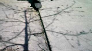 DSCN0767.avi