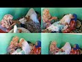 نهار الحنة العروس هدي هيا تقليد ديالنا قبل متروح العروس لدار زوجها الله يكمل ويجعل كلشي بخير نهار الحنة العروس هدي هيا تقليد ديالنا قبل متروح العروس لدار زوجها الله يكمل ويجعل كلشي بخير